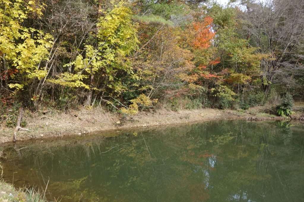 釣り池