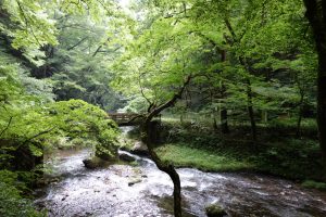 比婆道後帝釈国定公園　白雲洞