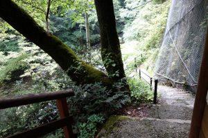 比婆道後帝釈国定公園　白雲洞