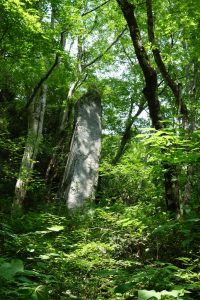 比婆道帝釈国定公園　鬼の供養塔