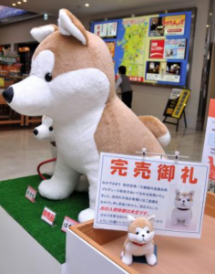 ザギトワ効果で完売！秋田犬のぬいぐるみを買えるお店と値段を確認