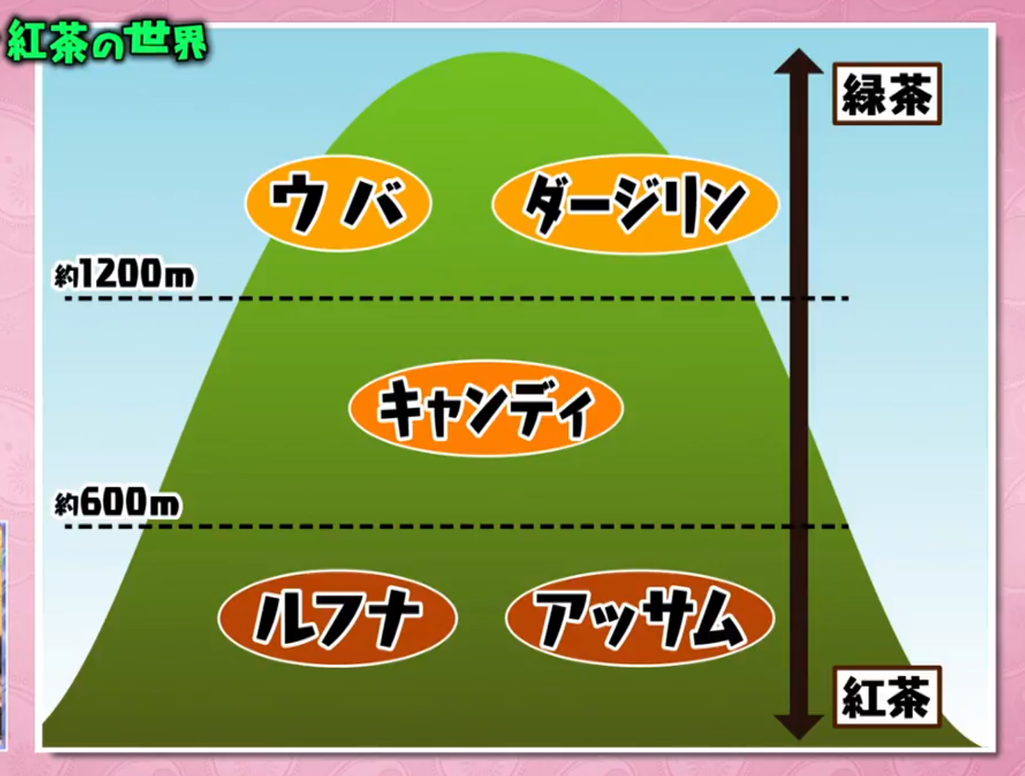 マツコの知らない世界5.29で紹介のおいしい紅茶　産地別